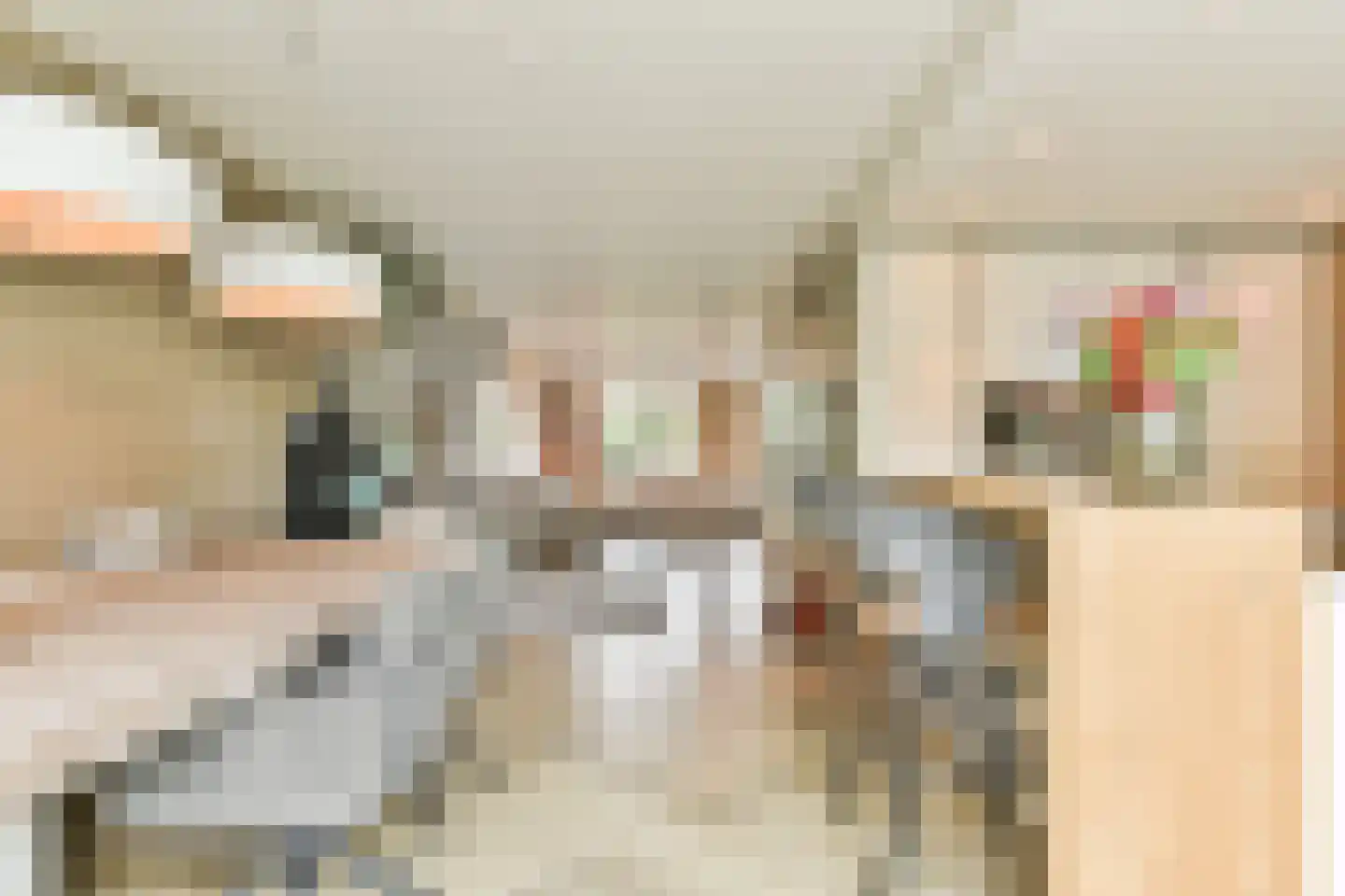 Dopsingel 4 Eemnes thumbnail 9