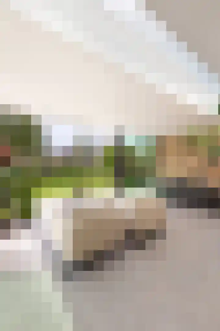 Dopsingel 47 Eemnes thumbnail 11