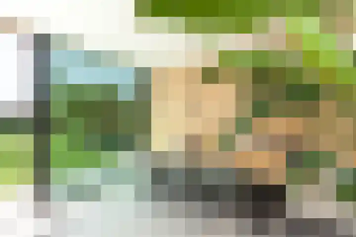 Dopsingel 47 Eemnes thumbnail 12