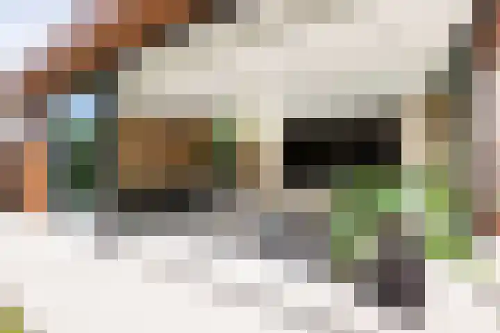Dopsingel 47 Eemnes thumbnail 13