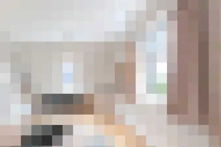 Dopsingel 47 Eemnes thumbnail 20