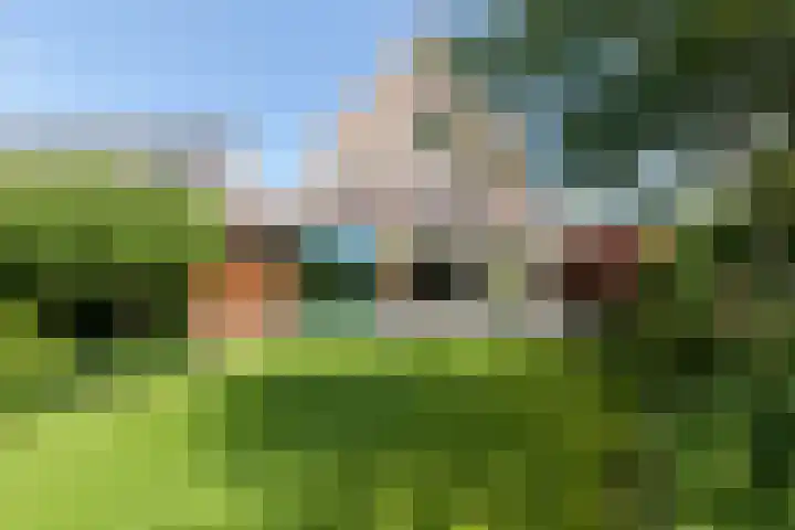 Dopsingel 47 Eemnes thumbnail 27