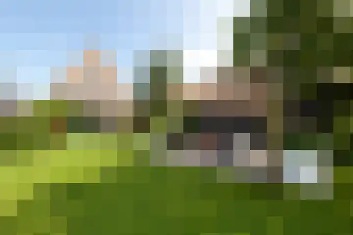 Dopsingel 47 Eemnes thumbnail 30