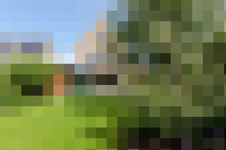 Dopsingel 47 Eemnes thumbnail 32