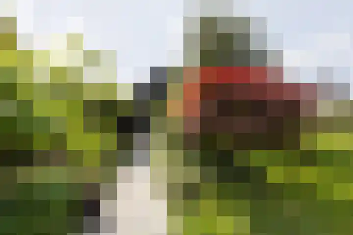 Dopsingel 47 Eemnes thumbnail 33