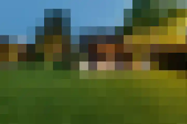 Dopsingel 47 Eemnes thumbnail 34