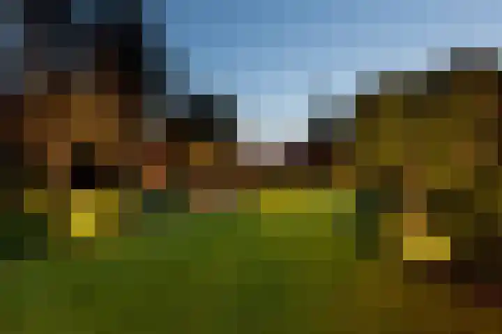 Dopsingel 47 Eemnes thumbnail 35