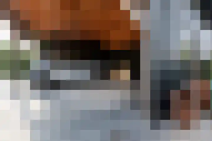 Dopsingel 47 Eemnes thumbnail 37