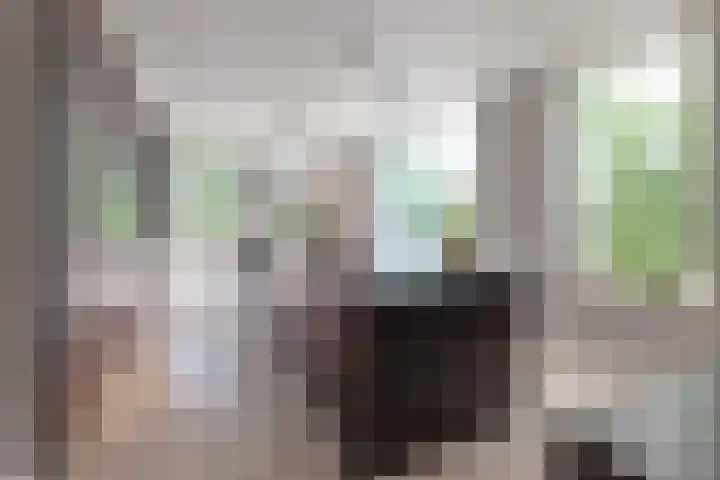 Dopsingel 47 Eemnes thumbnail 7
