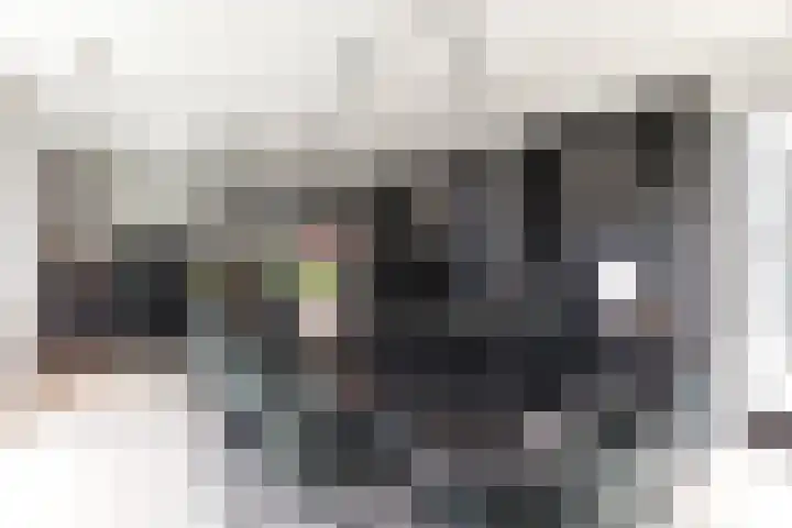 Dopsingel 47 Eemnes thumbnail 8