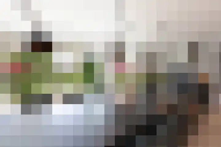 Dopsingel 47 Eemnes thumbnail 9