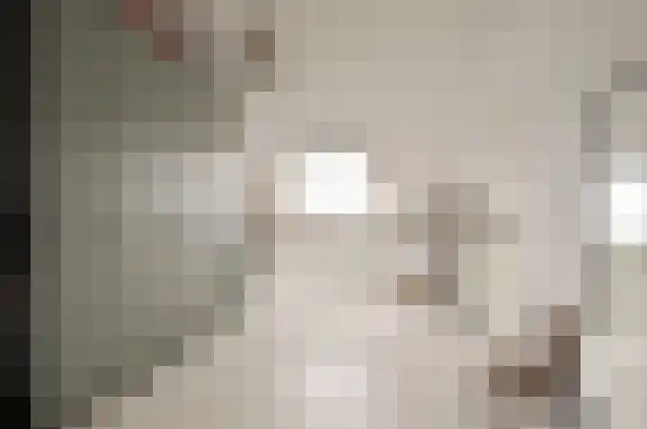 Dopsingel 7 Eemnes thumbnail 11