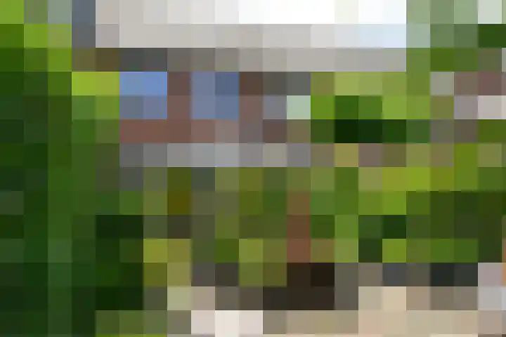 Dopsingel 7 Eemnes thumbnail 13