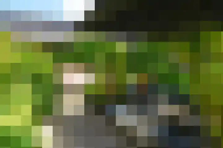 Dopsingel 7 Eemnes thumbnail 15