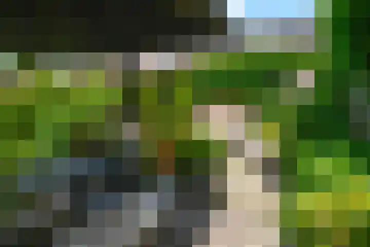 Dopsingel 7 Eemnes thumbnail 16