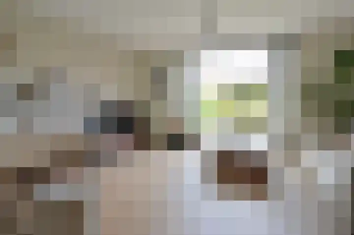 Dopsingel 7 Eemnes foto 2