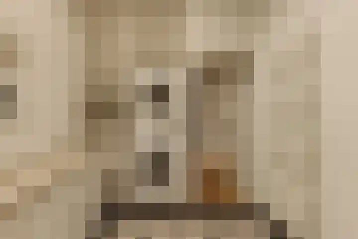 Dopsingel 7 Eemnes thumbnail 21