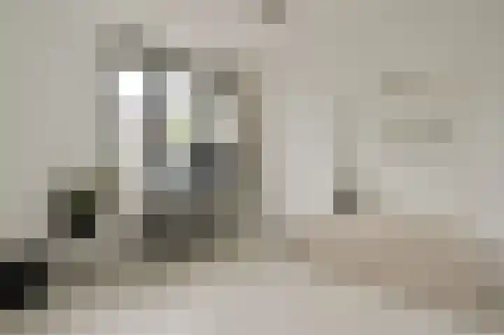 Dopsingel 7 Eemnes thumbnail 6