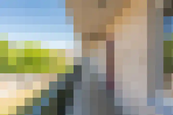 Dora Tamanaplein 61 Amsterdam thumbnail 26