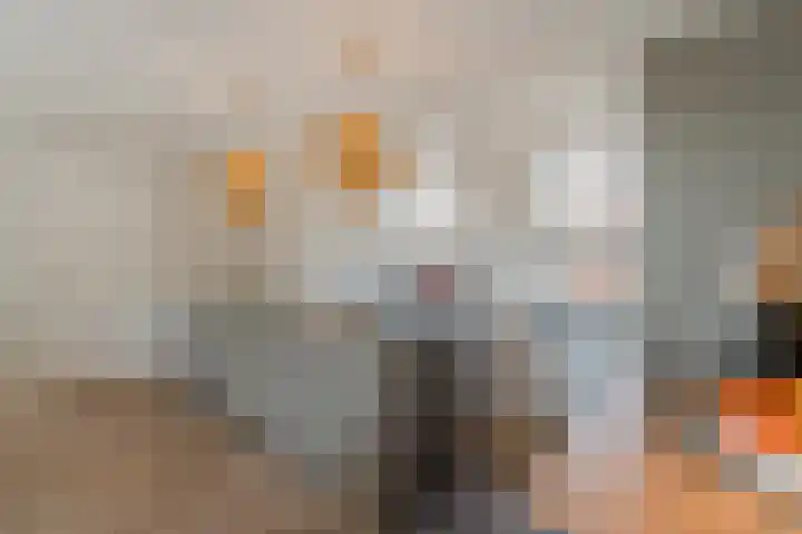 Dora Tamanaplein 61 Amsterdam thumbnail 9