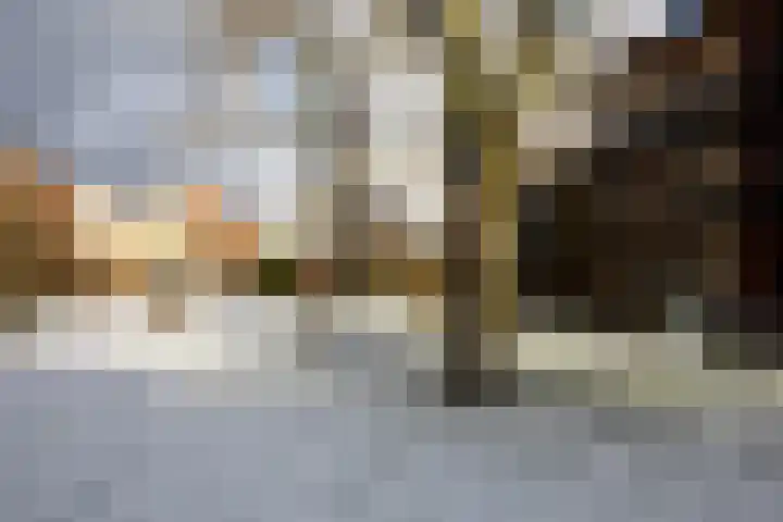 Doradehof 43 Hoogvliet Rotterdam thumbnail 23