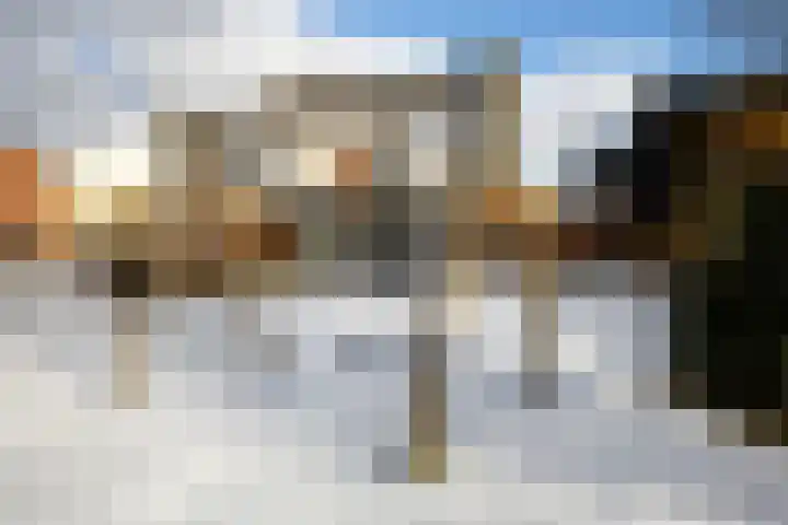 Doradehof 43 Hoogvliet Rotterdam thumbnail 24