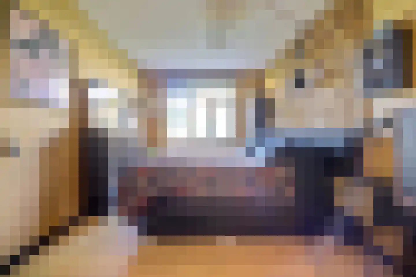 Doradehof 51 Hoogvliet Rotterdam thumbnail 13