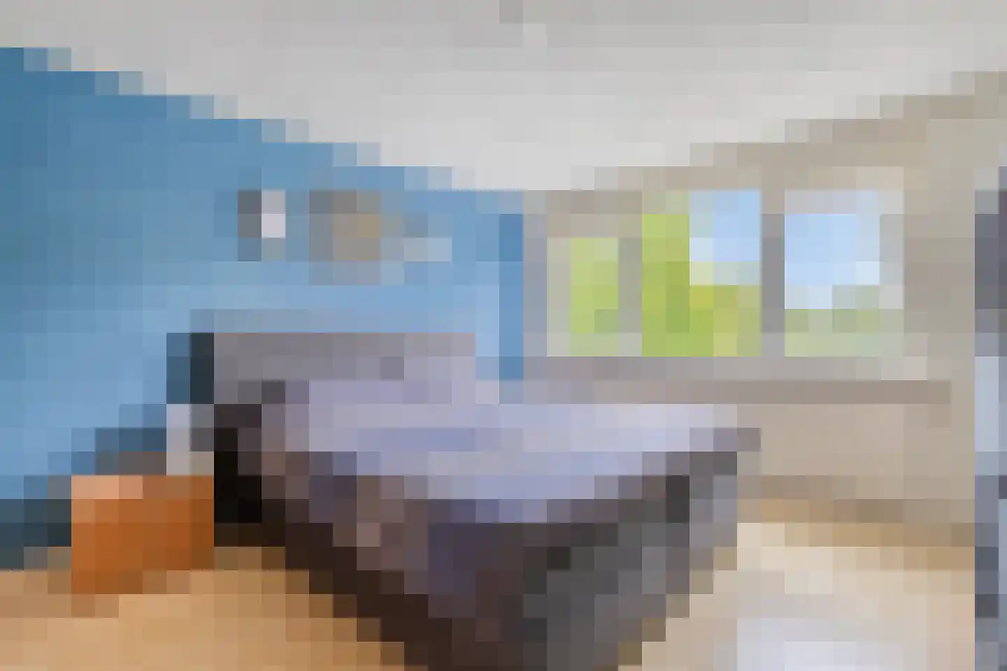 Dorcamp 28 Castricum thumbnail 20