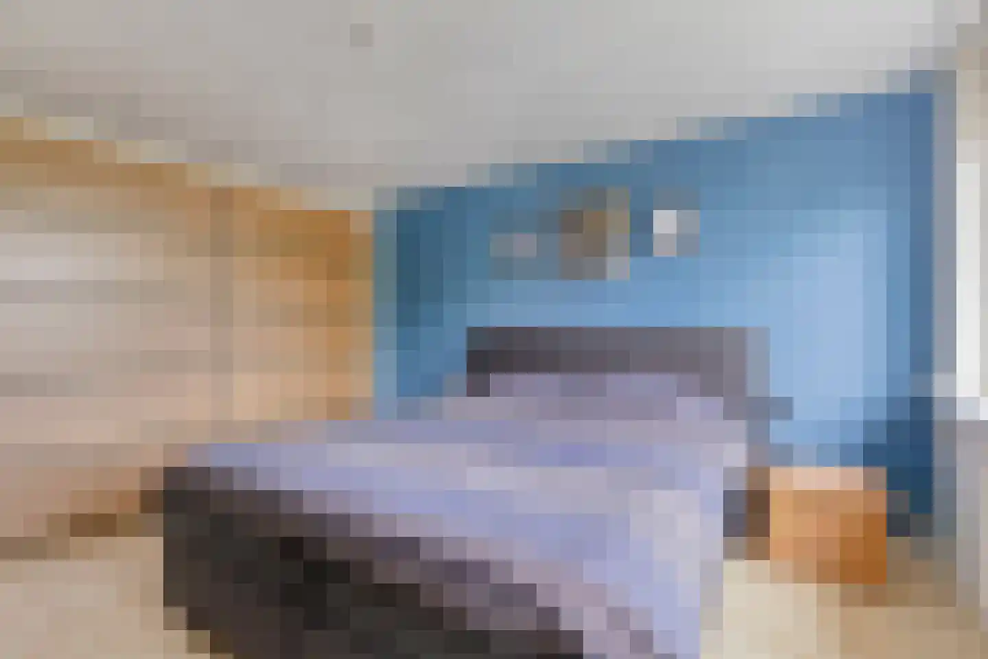 Dorcamp 28 Castricum thumbnail 21