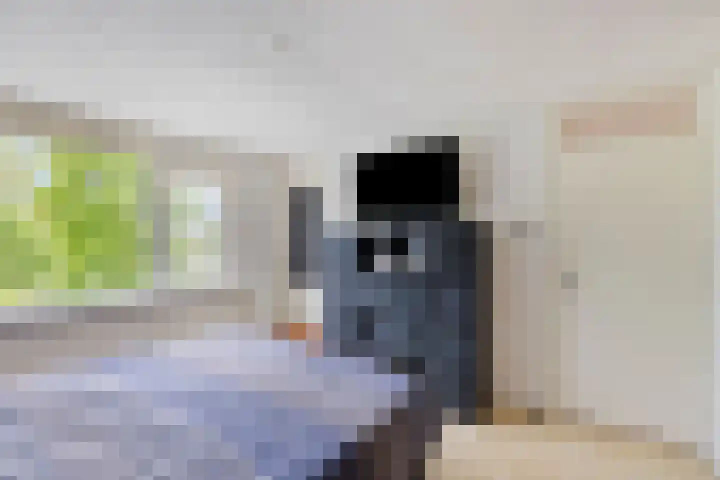 Dorcamp 28 Castricum thumbnail 22