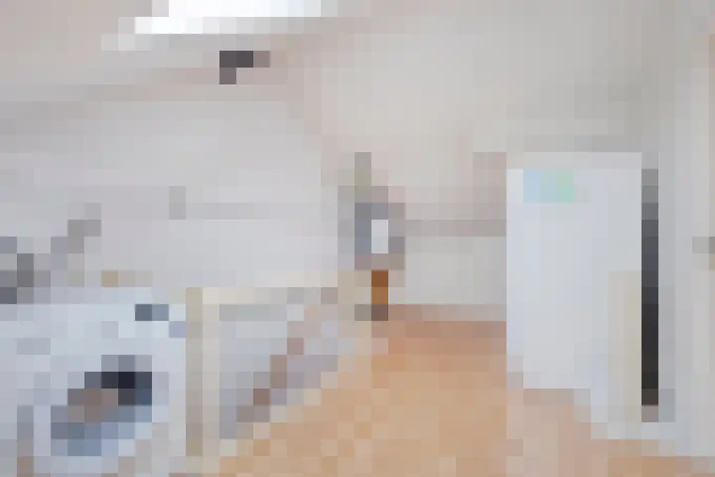 Dorcamp 28 Castricum thumbnail 33