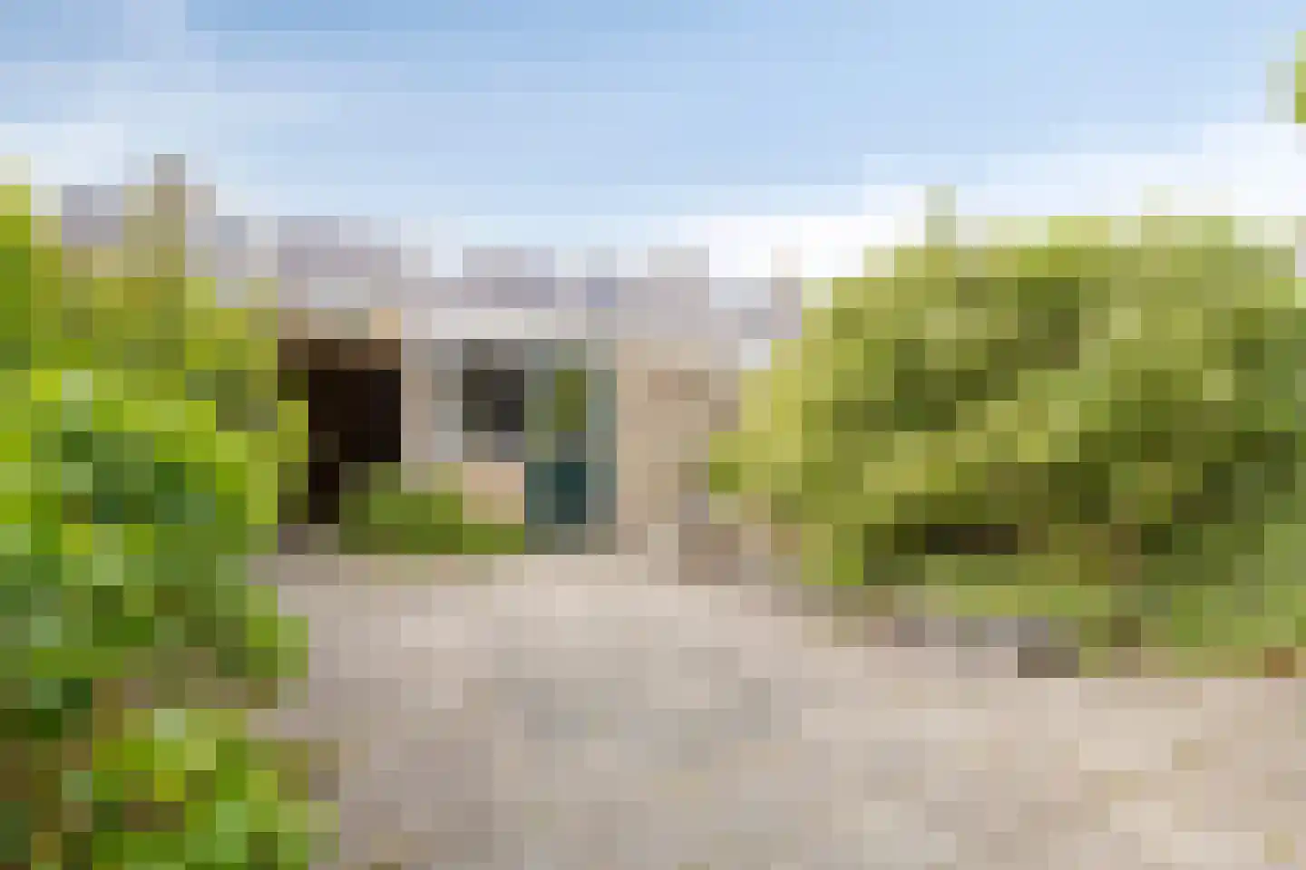Dorcamp 28 Castricum thumbnail 37