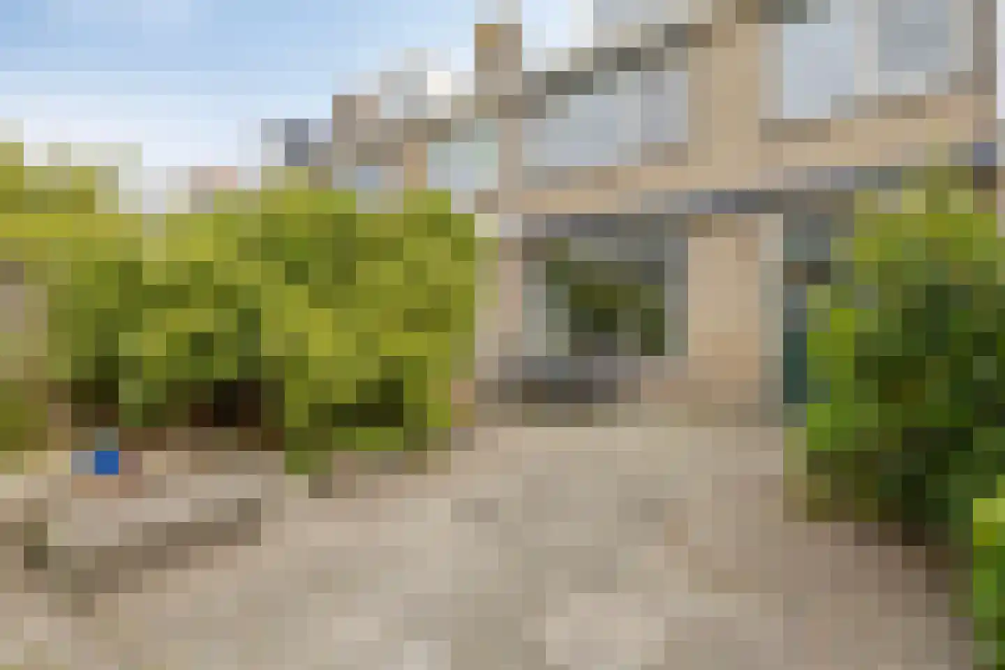 Dorcamp 28 Castricum thumbnail 38