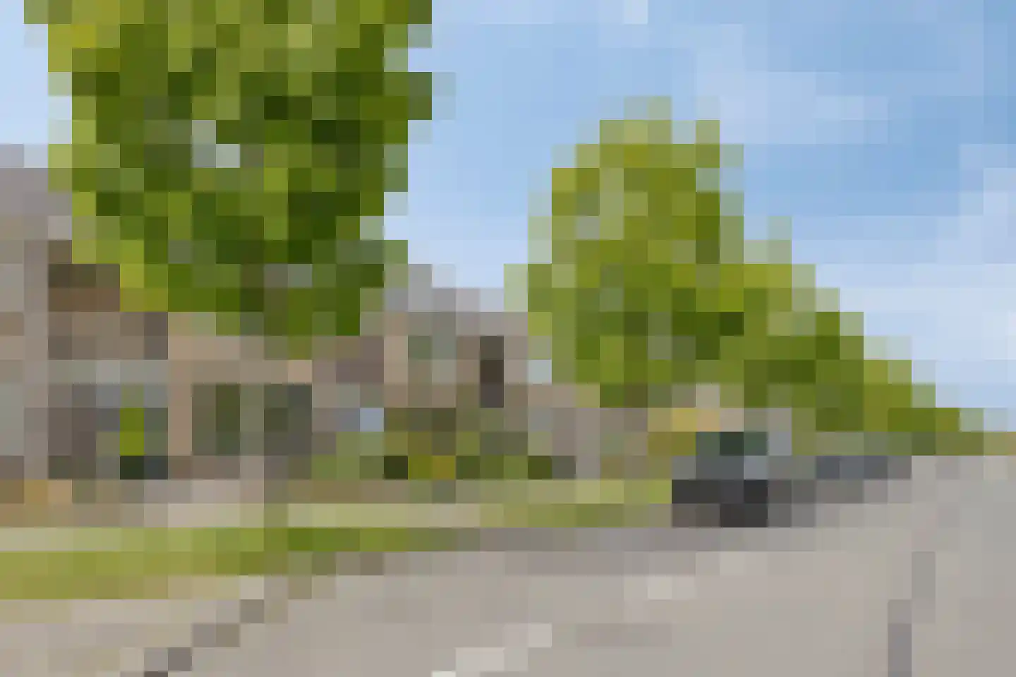 Dorcamp 28 Castricum thumbnail 43