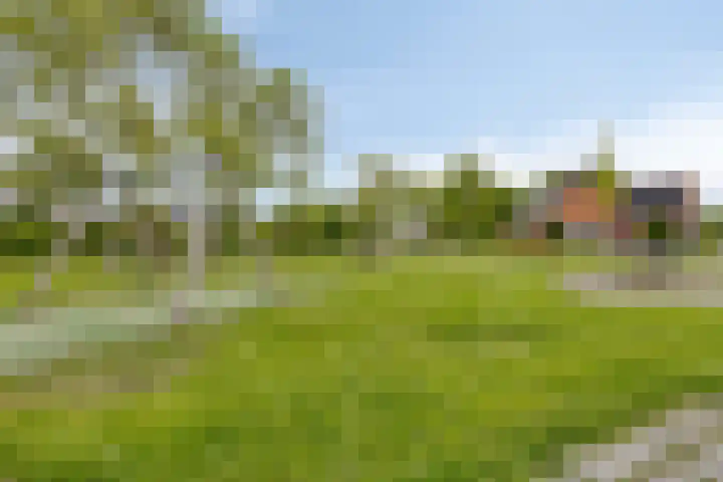 Dorcamp 28 Castricum thumbnail 44