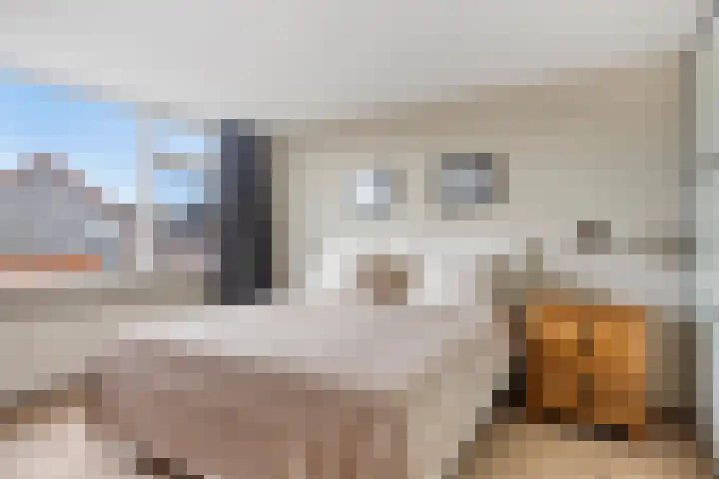 Dorcamp 32 Castricum thumbnail 28