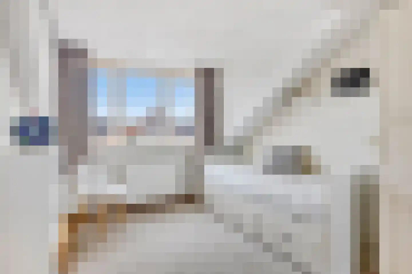 Dorcamp 32 Castricum thumbnail 44