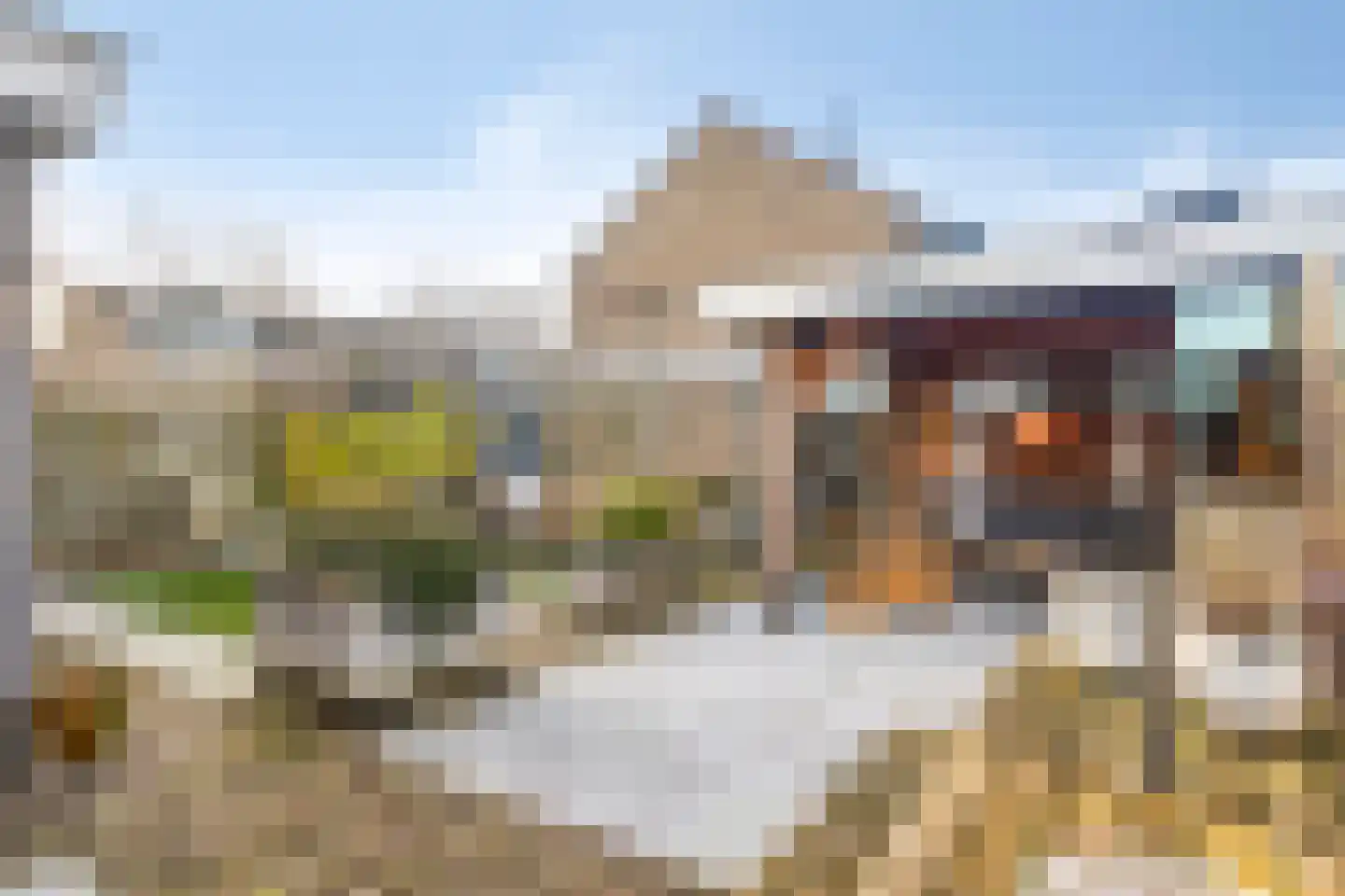 Dorcamp 32 Castricum thumbnail 51