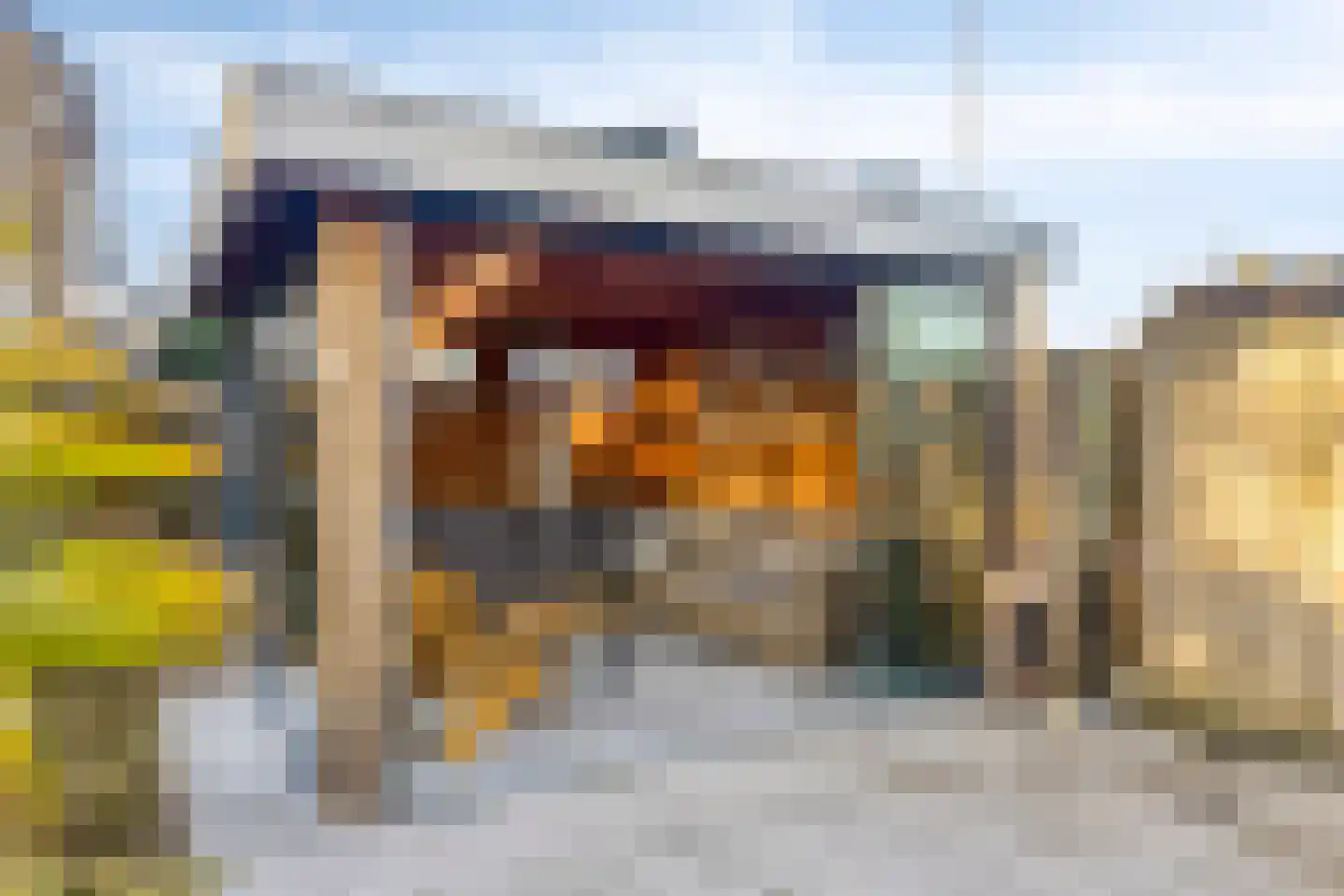 Dorcamp 32 Castricum thumbnail 52