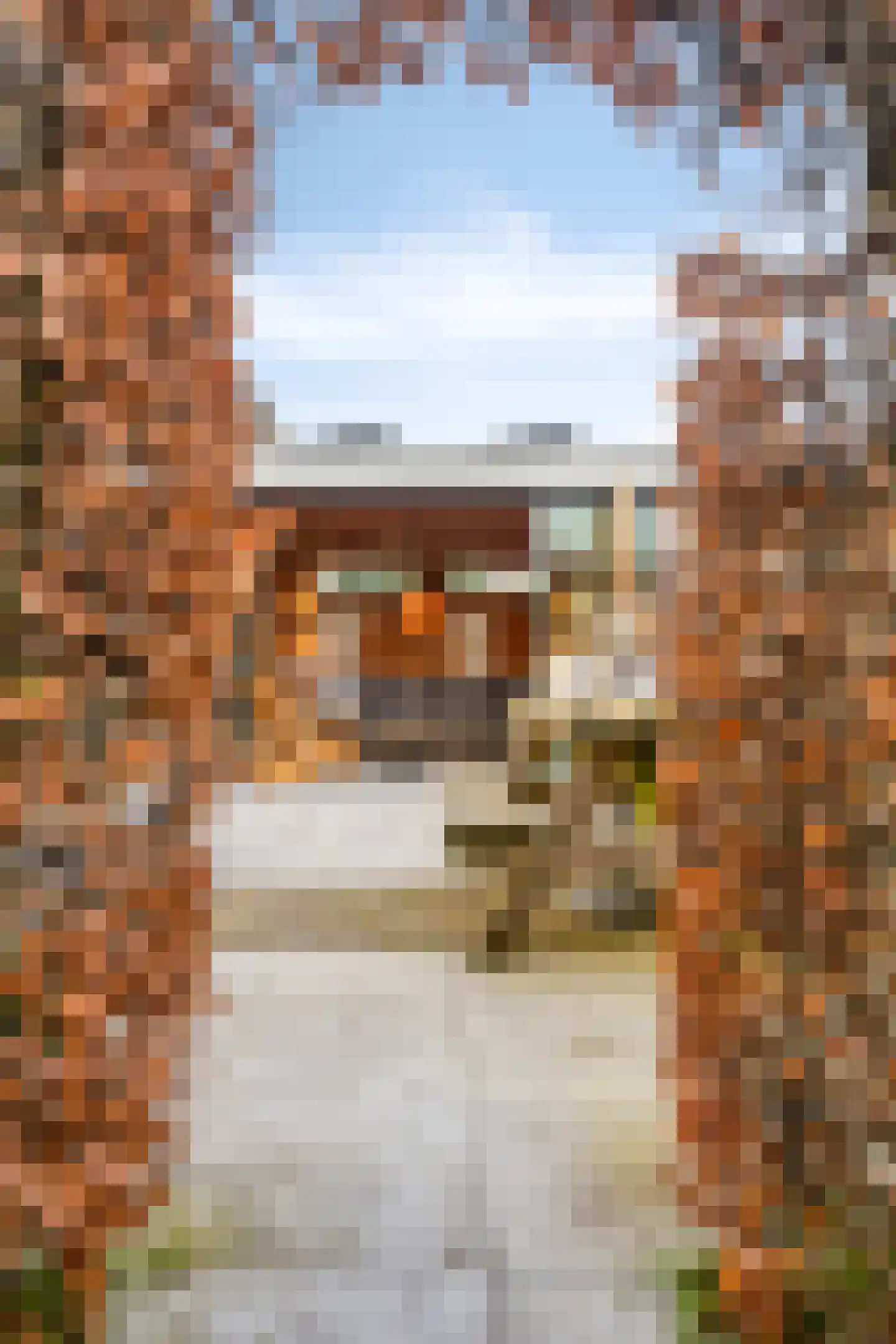 Dorcamp 32 Castricum thumbnail 54