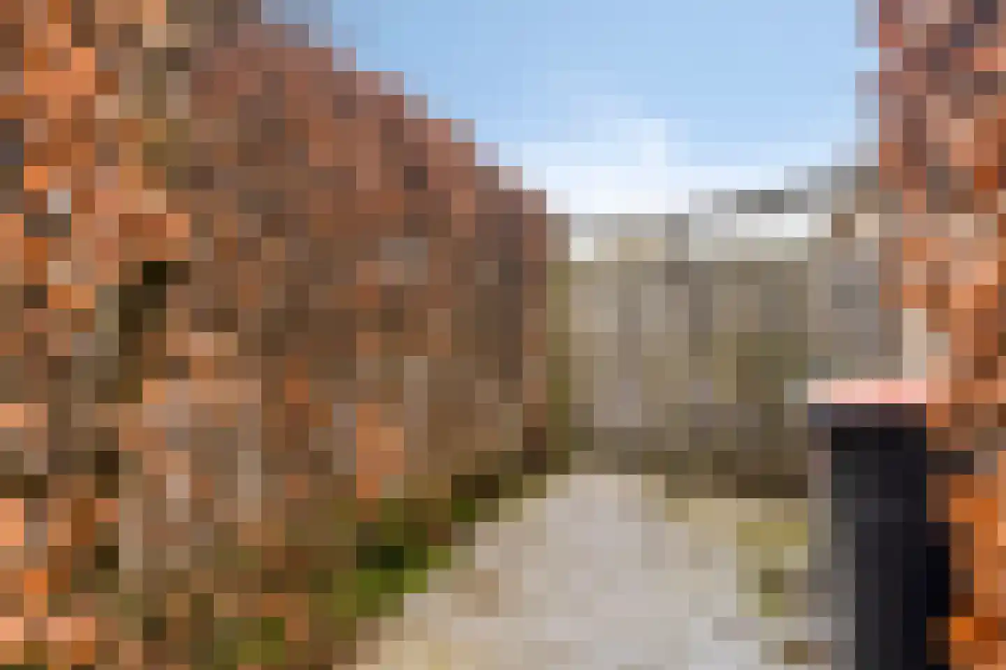 Dorcamp 32 Castricum thumbnail 55