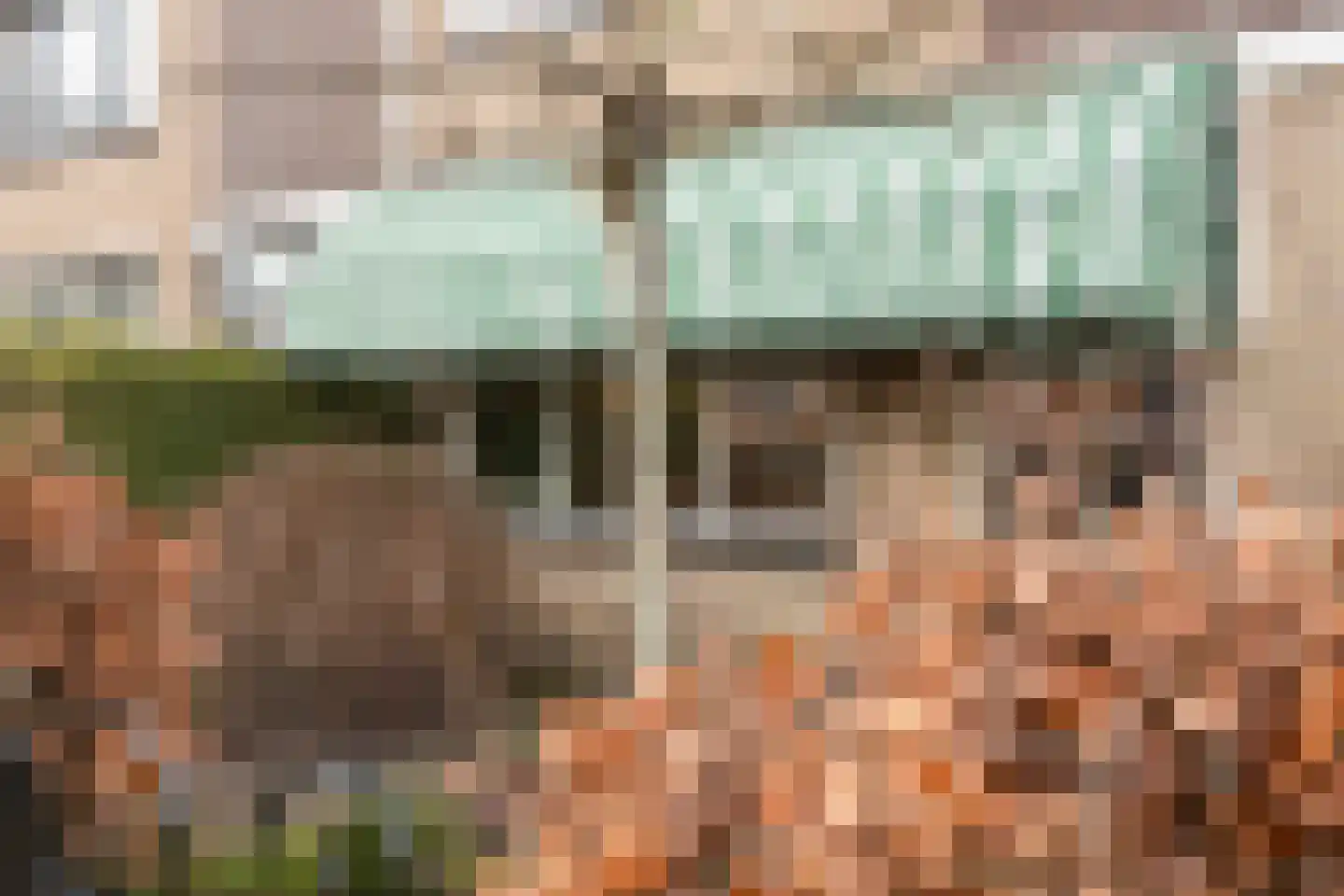 Dorcamp 32 Castricum thumbnail 56