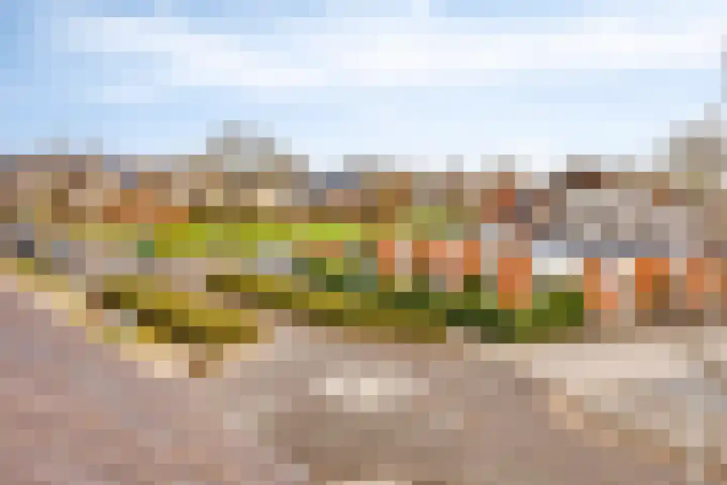 Dorcamp 32 Castricum thumbnail 59