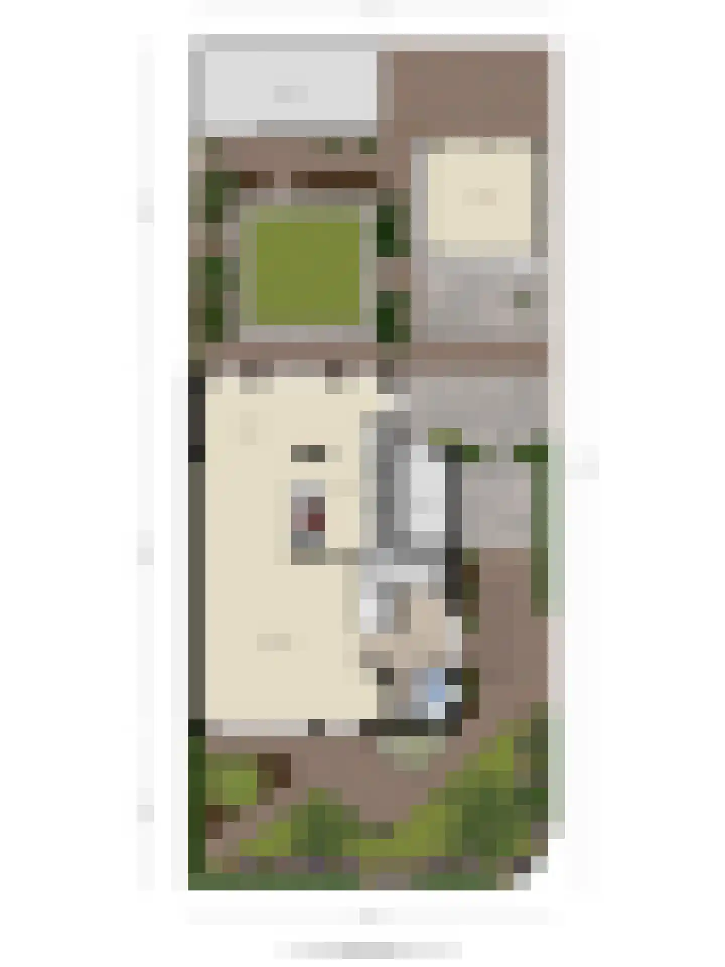 Dorcamp 32 Castricum thumbnail 61