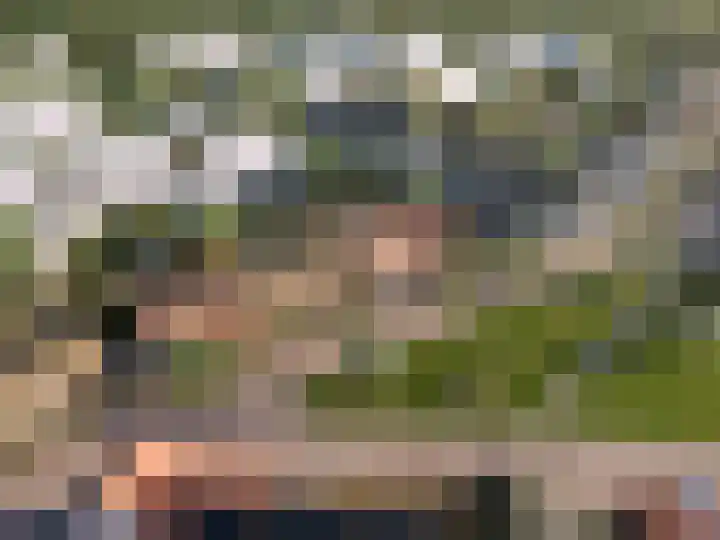 Dordogne 2 Geleen thumbnail 5