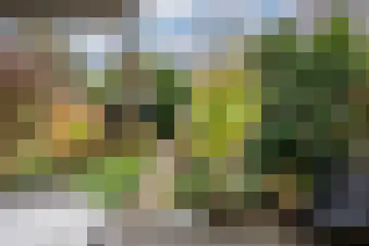 Dordogne 27 Leusden thumbnail 28