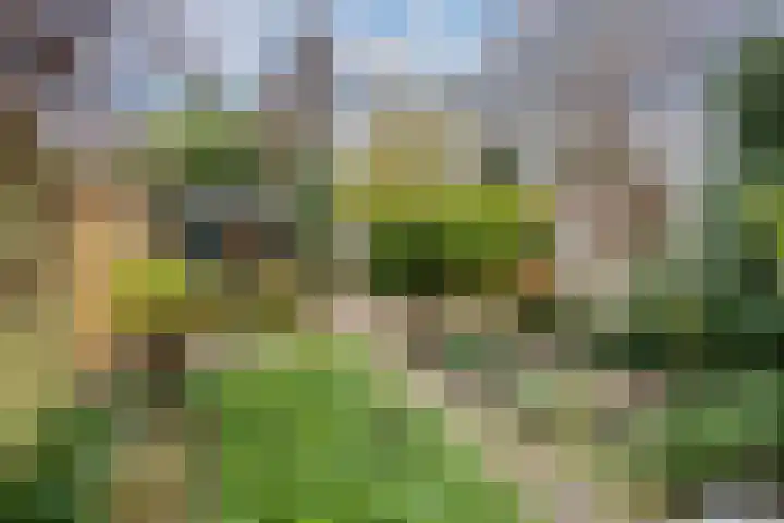 Dordogne 27 Leusden thumbnail 29