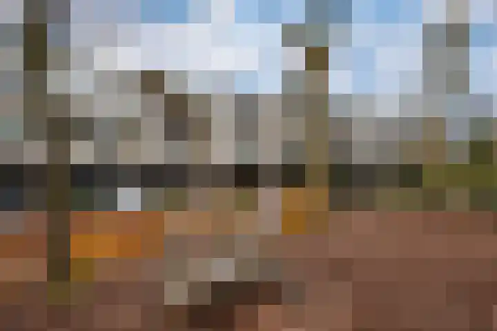 Dordogne 27 Leusden thumbnail 33