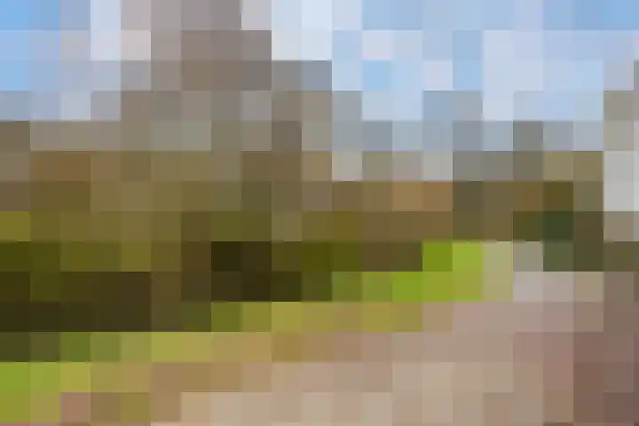 Dordogne 27 Leusden thumbnail 38