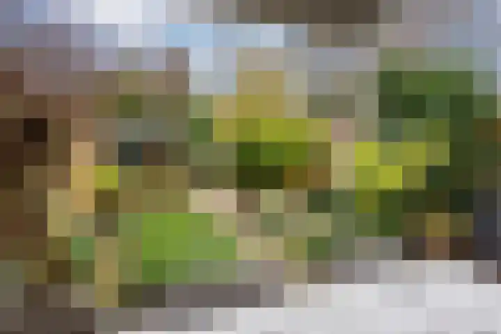 Dordogne 27 Leusden thumbnail 39